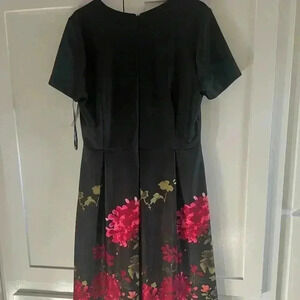 NWT size 14 wrinkle free lined fit n flare pleated skirt dress with red flowers.